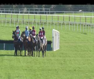 Video preview image for Fairyhouse 12:15 - Promote Your Business At Fairyhouse In 2017 Hurdle