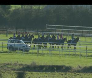 Video preview image for Fairyhouse 12:20 - Happy New Year Maiden Hurdle