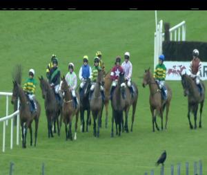 Video preview image for Fairyhouse 15:00 - Irish Stallion Farms E.B.F. Beginners Chase