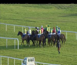 Video preview image for Fairyhouse 15:30 - Bobbyjo Bistro Great Food Great Deals Handicap Chase (0-102)