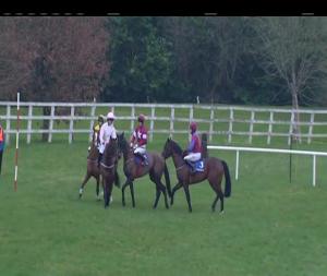 Video preview image for Gowran Park 16:10 - P.J. Foley Memorial Flat Race