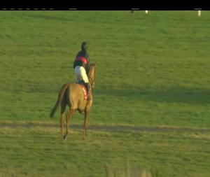Video preview image for Punchestown 15:50 - Irish Stallion Farms E.B.F. Mares Flat Race