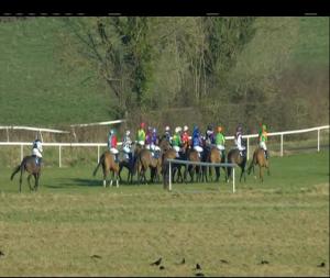 Video preview image for Thurles 12:10 - www.thurlesraces.ie Maiden Hurdle (Div 1)