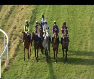 Video preview image for Thurles 13:10 - W.T. O'Grady Memorial E.B.F. Novice Hurdle