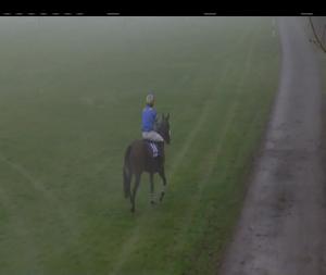 Video preview image for Clonmel 12:35 - Kilsheelan Mares Maiden Hurdle