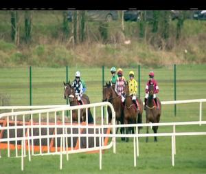 Video preview image for Cork 13:25 - Mccarthy Insurance Group Maiden Hurdle