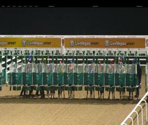 Video preview image for Dundalk 17:00 - Happy New Year From All At Dundalk Stadium Handicap