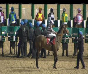Video preview image for Dundalk 17:00 - Dundalk Business Club 2018 Maiden