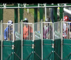 Video preview image for Dundalk 20:00 - www.dundalkstadium.com Handicap (Div 1)