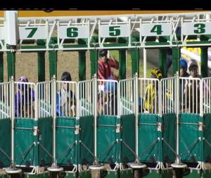 Video preview image for Dundalk 20:30 - www.dundalkstadium.com Handicap (Div 2)