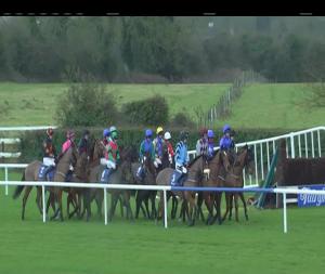 Video preview image for Fairyhouse 12:55 - Promote Your Business At Fairyhouse In 2018 Mares Maiden Hurdle 