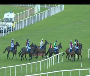 Video preview image for Fairyhouse 13:30 - Donnelly Providers Ratoath Handicap Hurdle 