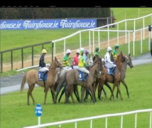 Video preview image for Fairyhouse 13:35 - Fairyhouse Racecourse Members Handicap Chase