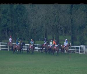 Video preview image for Gowran Park 15:35 - Pmf Accountants Beginners Chase