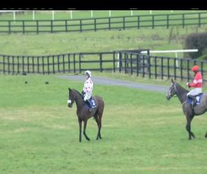 Video preview image for Naas 13:50 - Limestone Lad Hurdle (Grade 3) 