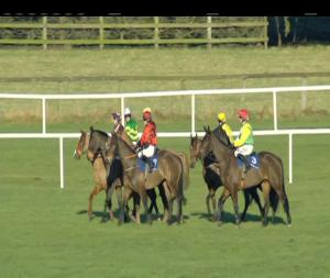 Video preview image for Naas 14:15 - Eastcoast Seafood & Gouldings Hardware Handicap Chase