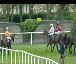 Video preview image for Naas 14:20 - Woodlands Park 100 Club Novice Chase (Grade 3)