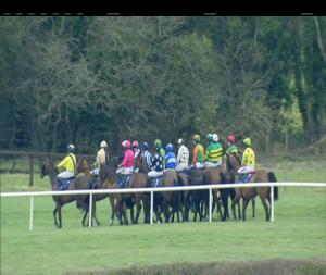 Video preview image for Naas 14:50 - I.N.H. Stallion Owners European Breeders Fund Maiden Hurdle