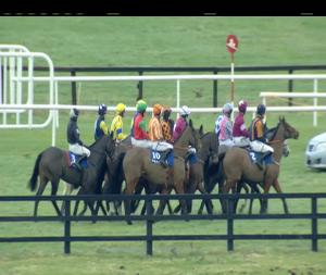 Video preview image for Naas 15:20 - Circle At Naas Racecourse Handicap Hurdle