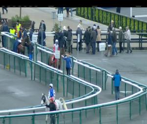 Video preview image for Punchestown 12:25 - Adare Manor Opportunity Handicap Chase