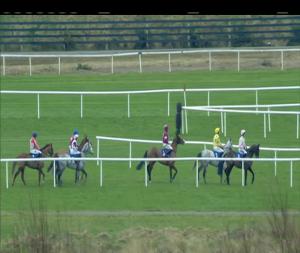 Video preview image for Punchestown 14:10 - Sky Bet Moscow Flyer Novice Hurdle (Grade 2)