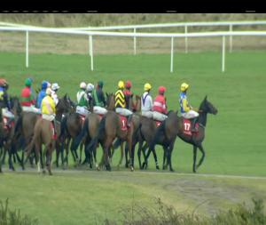 Video preview image for Punchestown 14:20 - toals.com Bookmakers Money Back If Second To The SP Favourite Mares Maiden Hurdle