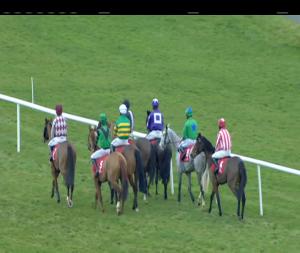 Video preview image for Punchestown 15:20 - Leinster Leader Mares Handicap Hurdle 