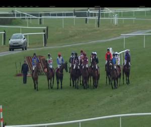 Video preview image for Punchestown 15:50 - David Trundley Artist At Punchestown Irish Stallion Farms European Breeders Fund Mares I.N.H. Flat
