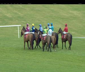 Video preview image for Punchestown 16:00 - toals.com Bookmakers €250 In Free Bets Novice Handicap Hurdle