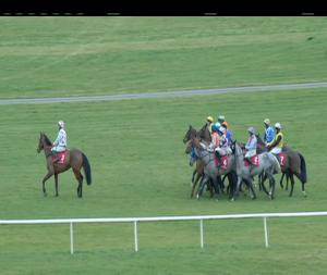 Video preview image for Punchestown 16:30 - toals.com Bookmakers Football Acca Insurance Handicap Hurdle