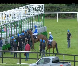 Video preview image for Bellewstown 17:55 - Irish Stallion Farms EBF Median Auction Maiden