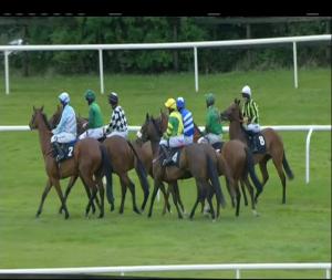 Video preview image for Bellewstown 20:10 - Irish Mirror Novice Hurdle