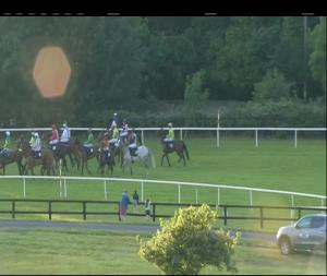Video preview image for Bellewstown 20:40 - Kingbet Handicap Hurdle (80-109)