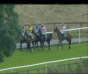 Video preview image for Downpatrick 15:05 - A J C Group Hurdle