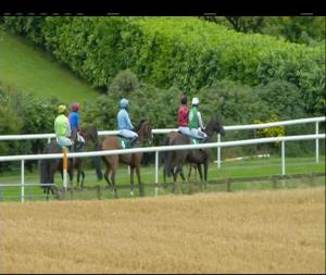 Video preview image for Downpatrick 18:10 - Two N &  Flat Race