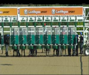 Video preview image for Dundalk 16:35 - Racing Post Handicap