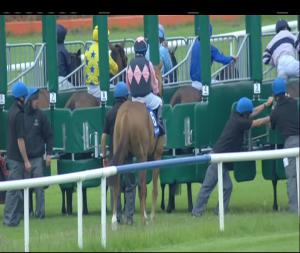 Video preview image for Fairyhouse 20:20 - La Bucca Restaurants Handicap 