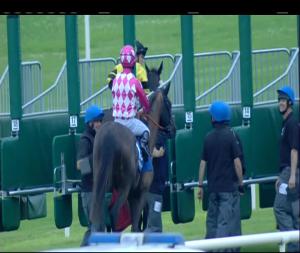 Video preview image for Fairyhouse 20:50 - fairyhouse.ie Handicap 