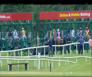 Video preview image for Gowran Park 18:00 - Irish Stallion Farms European Breeders Fund Median Auction Maiden 