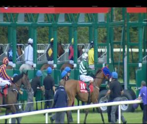 Video preview image for Gowran Park 19:00 - Thomastown Handicap 