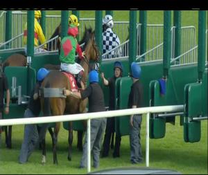 Video preview image for Gowran Park 19:30 - Irish Stallion Farms European Breeders Fund Median Auction