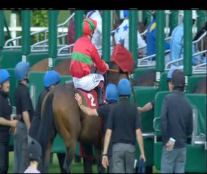Video preview image for Gowran Park 20:30 - www.gowranpark.ie Handicap 