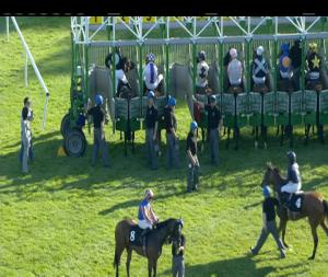 Video preview image for Killarney 19:00 - Irish Stallion Farms European Breeders Fund Cairn Rouge Stakes (Listed)