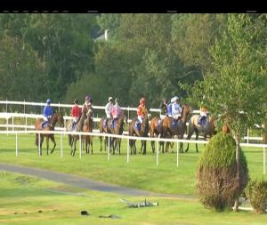 Video preview image for Killarney 19:20 - Sea Lodge Waterville Handicap 
