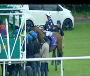 Video preview image for Leopardstown 18:55 - Hothouse Flowers Handicap 