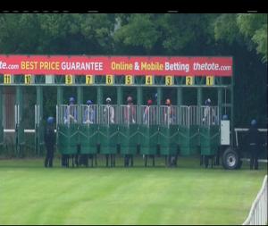 Video preview image for Navan 18:30 - Lynn Lodge Stud Maiden 