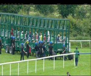 Video preview image for Roscommon 18:25 - Property Partners Earley Auctioneers Fillies Handicap