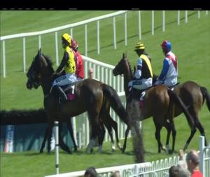 Video preview image for Sligo 14:25 - Irish Stallion Farms EBF Mares Rated Novice Hurdle