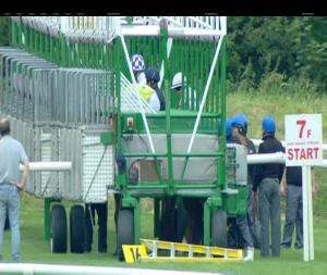 Video preview image for Tipperary 17:15 - Glenvale Stud Irish European Breeders Fund Maiden