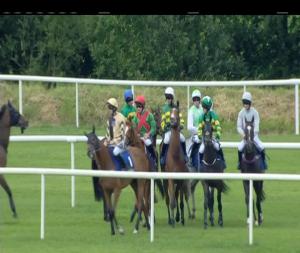 Video preview image for Tipperary 19:20 - Kevin McManus Bookmaker Grimes Hurdle (Grade 3)